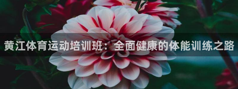 qy千亿球友会体育：黄江体育运动培训班：全面健康的体能训练之路