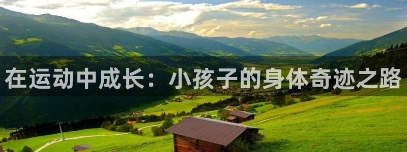 球友会体育直播