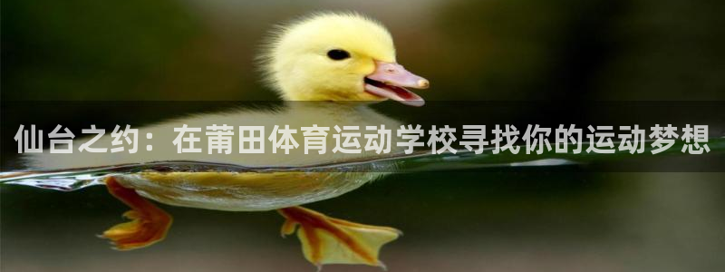 qy球友会体育网址