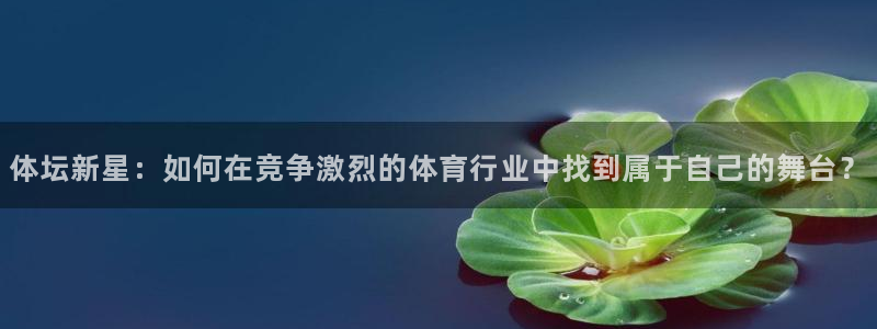 qy球友会体育网址：体坛新星：如何在竞争激烈的体育行业中找到属于自己的舞台？