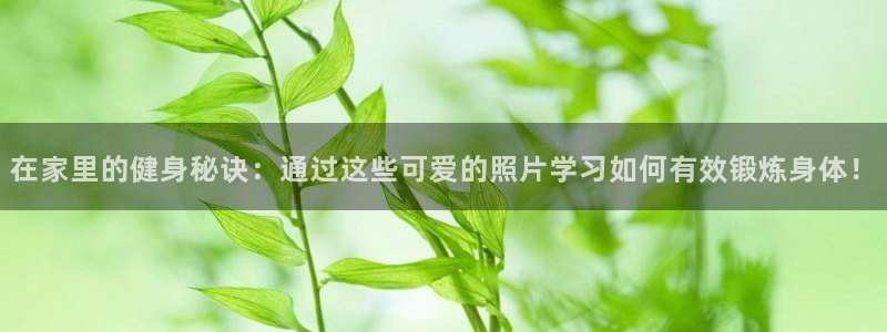 球友会体育最新版下载：在家里的健身秘诀：通过这些可爱的照片学习如何有效锻炼身体！