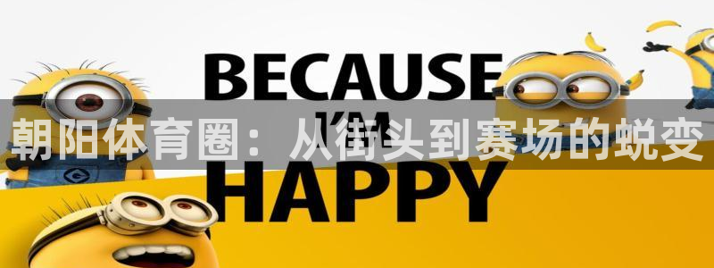 球友会体育：朝阳体育圈：从街头到赛场的蜕变