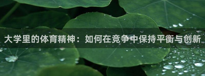 球友会体育官网